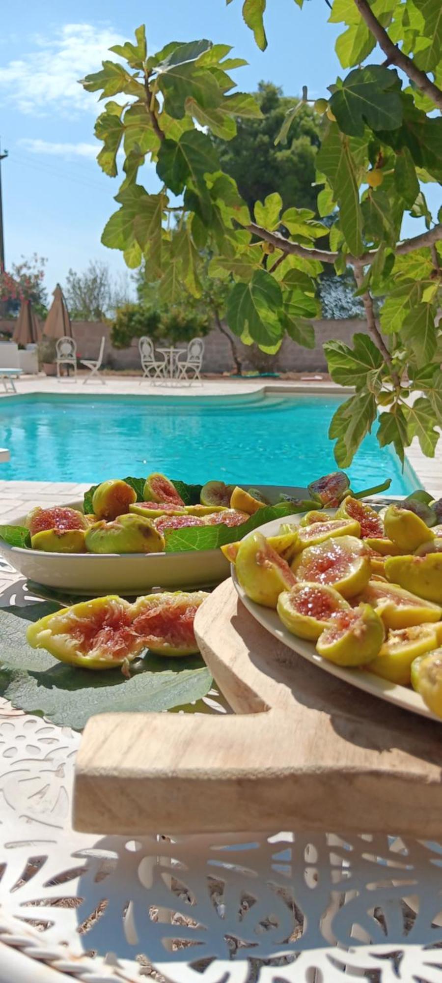 Antico Casale Il Sambuco Bed & Breakfast Manduria Exterior foto