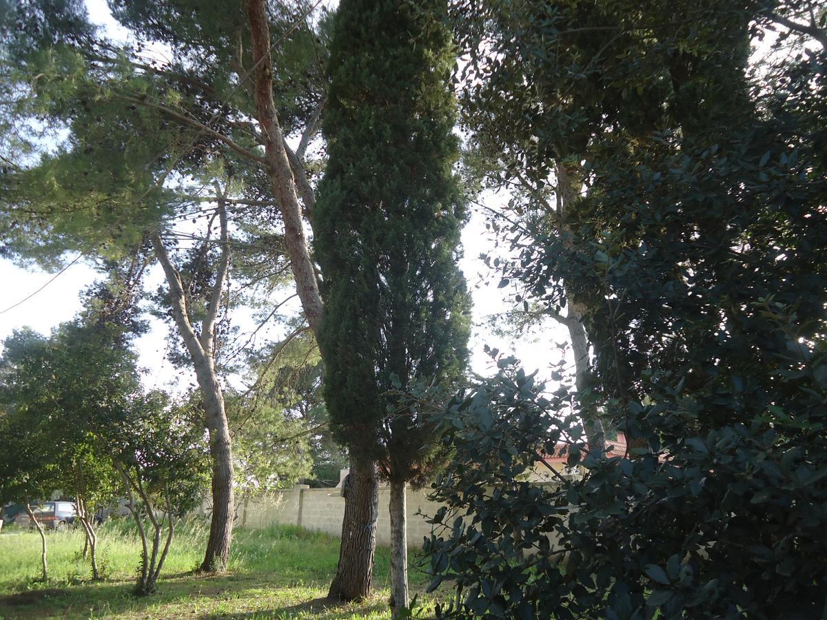 Antico Casale Il Sambuco Bed & Breakfast Manduria Exterior foto